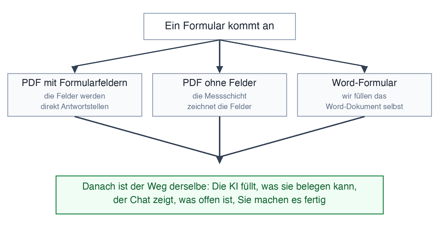 Drei Wege zu denselben Antwortstellen: PDF mit Feldern, flaches PDF und Word